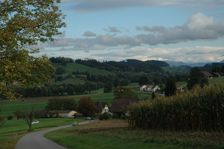 DSC_0990