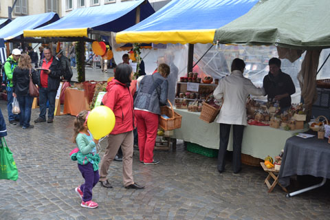 CWDSC_0950